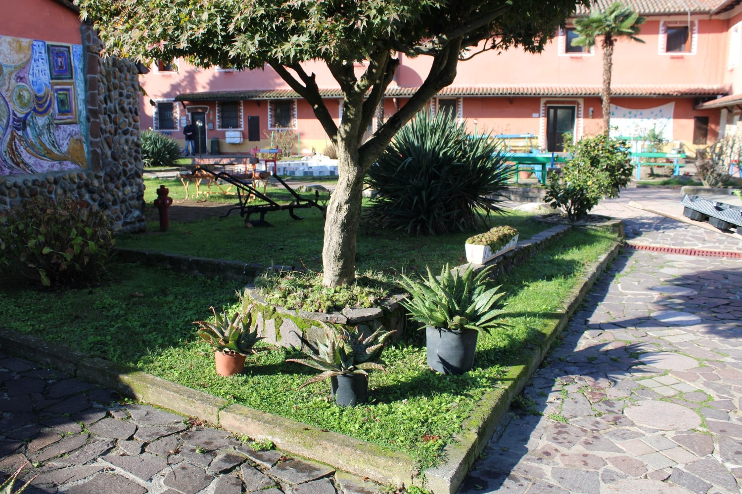 Cozzo16