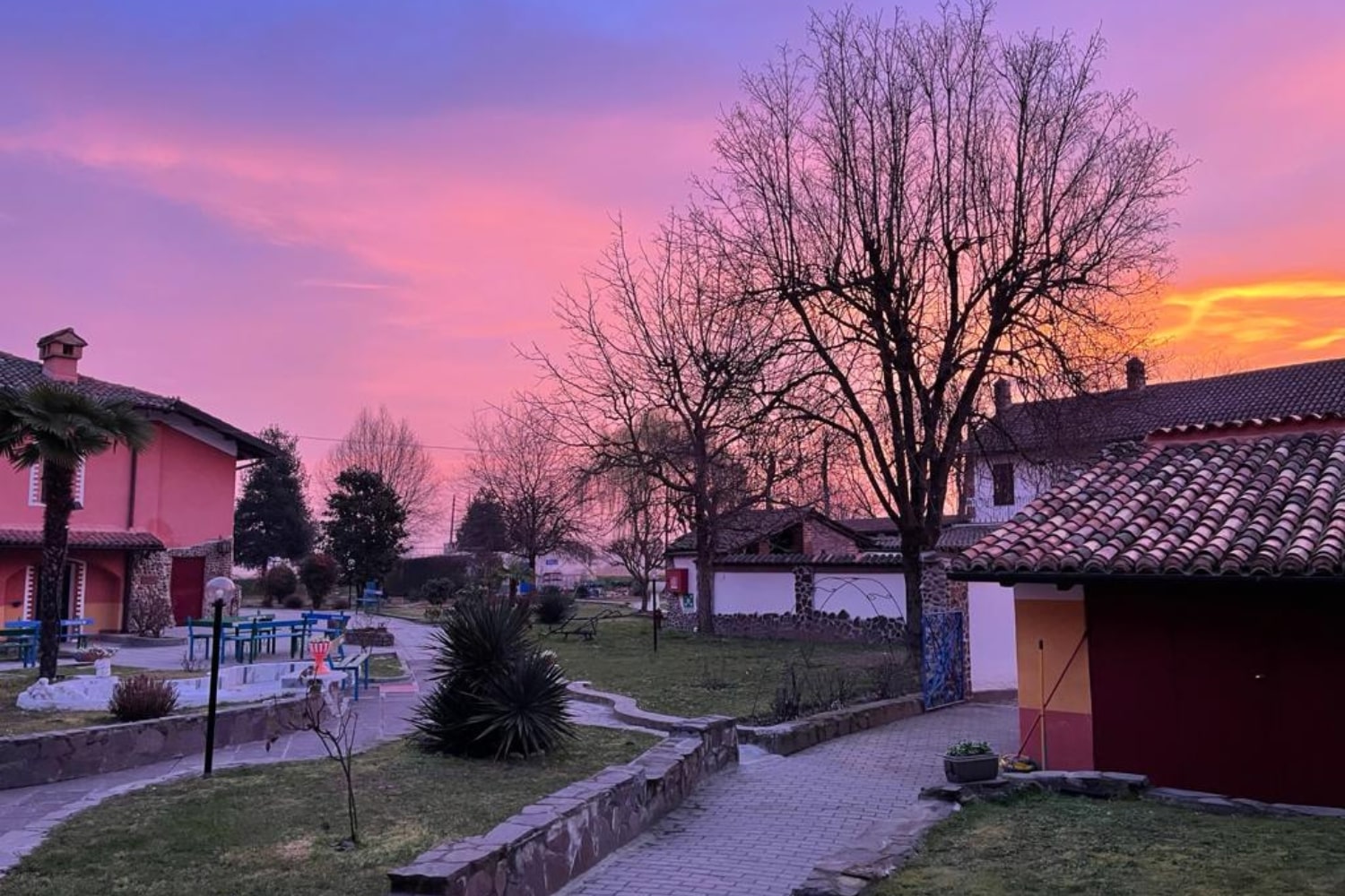 Cozzo21