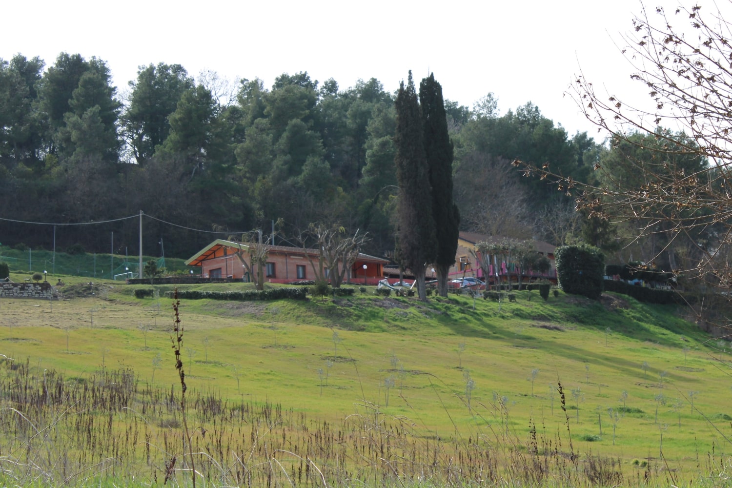 Montefiore3