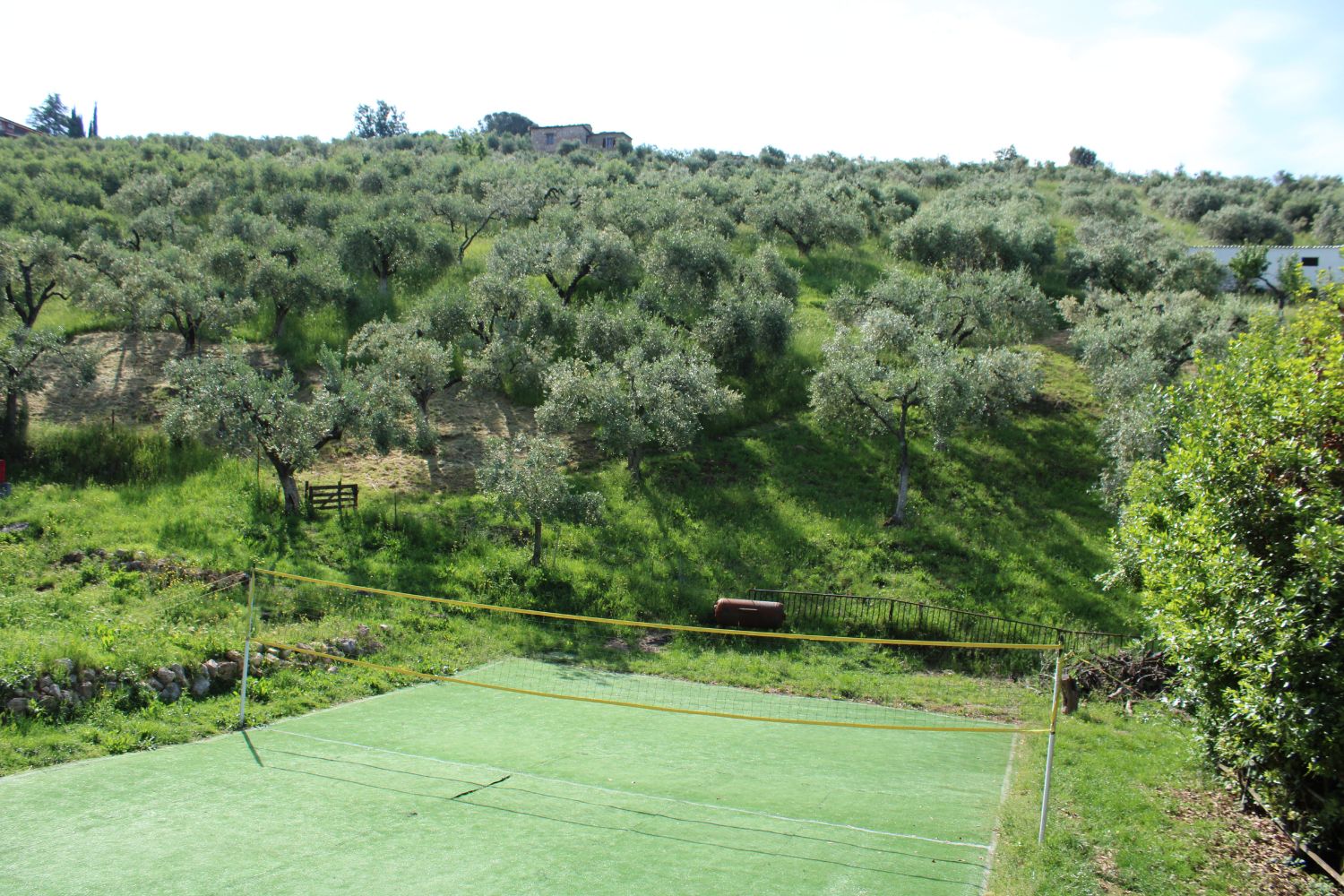 Palombara-nuova-5