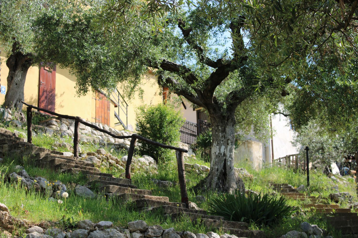 Palombara-nuova-6