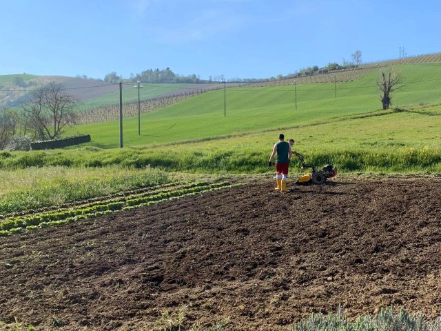 Attività agricola Comunità di  Montefiore