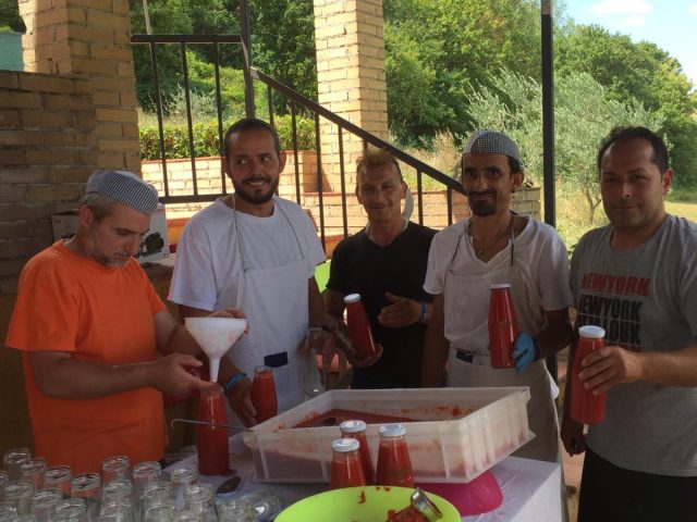 Preparazione conserva Montefiore