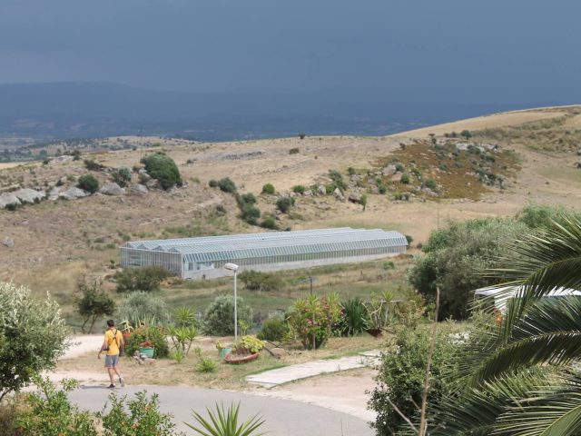 La serra della comunità di Ortacesus